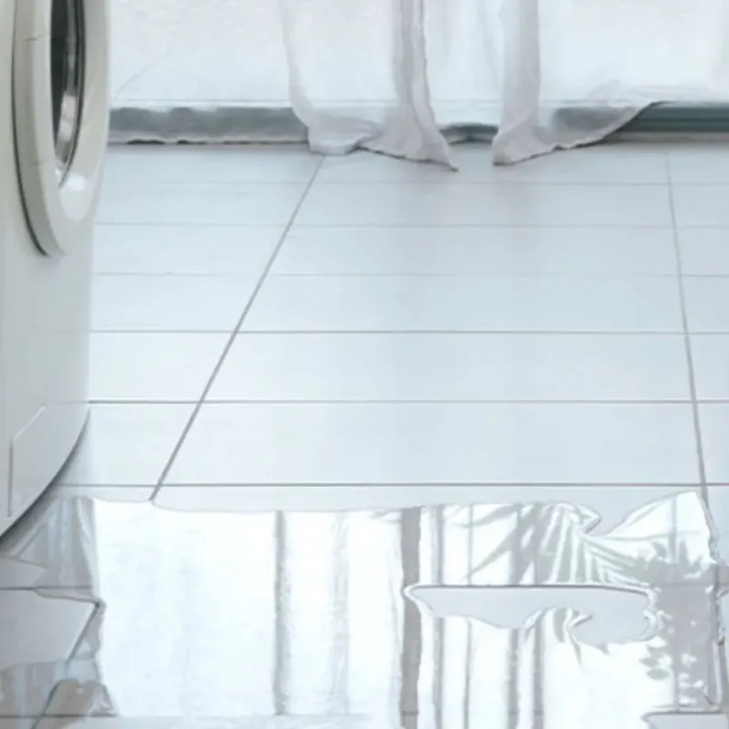 Appliance Leak Cleanup in French Island, WI