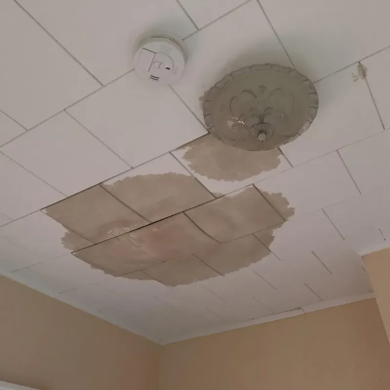 Ceiling Water Damage Repair in French Island, WI