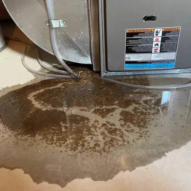 Pipe Burst and Leak Restoration in French Island, WI